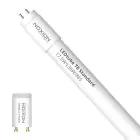 Noxion Tubo LED T8 Avant (EM/Mains) Standard Output 15W 1800lm - 865 Luz De Día | 120cm - Reemplazo 36W